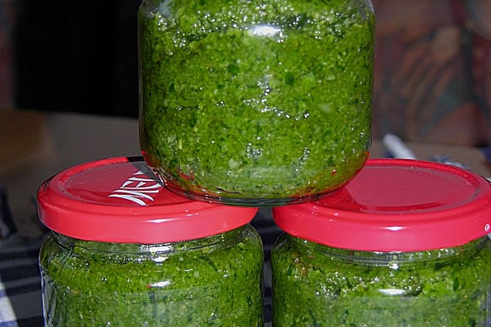 Bärlauch - Pesto