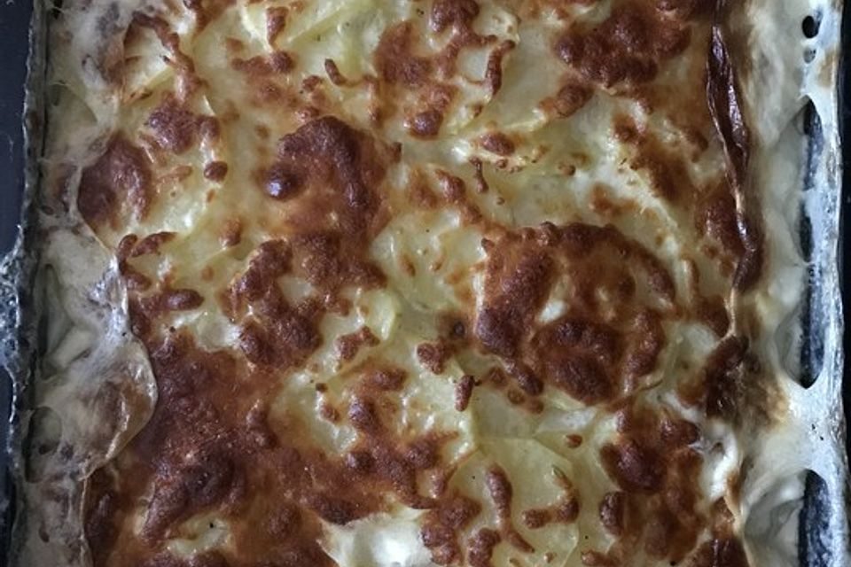 Kartoffelgratin mit Steinpilzen