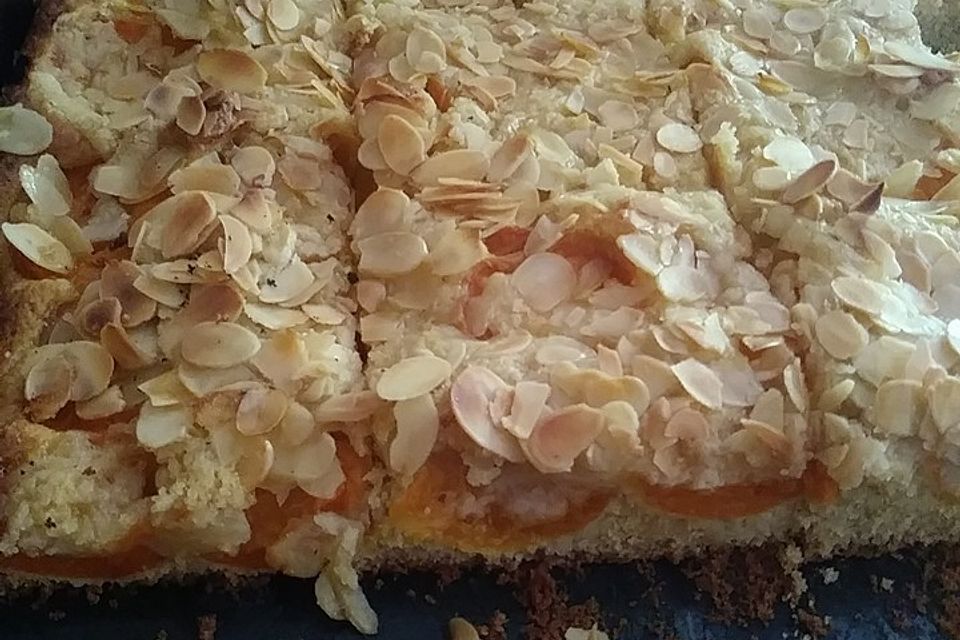 Aprikosenkuchen vom Blech