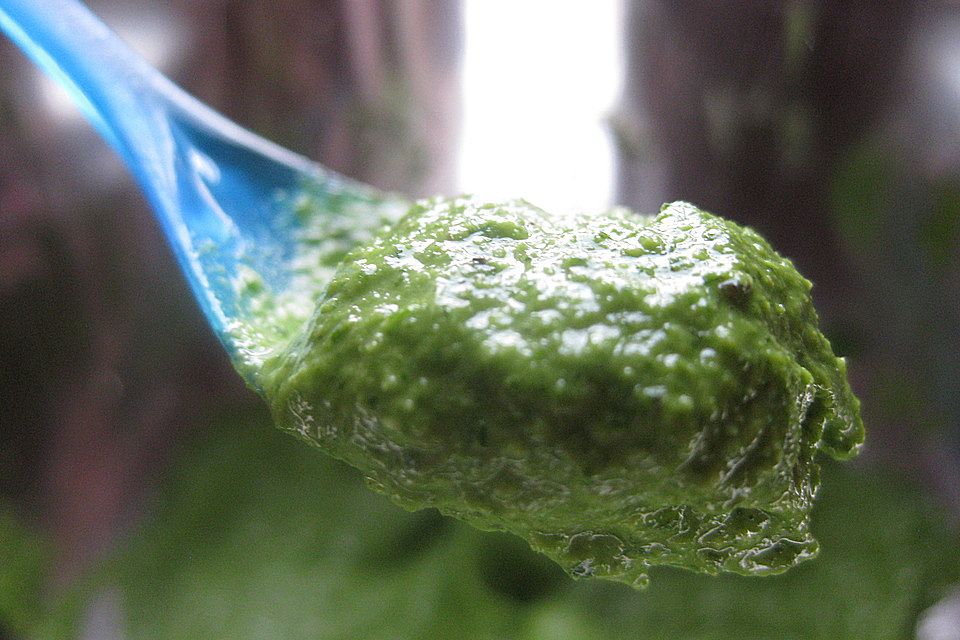 Rucola - Pesto