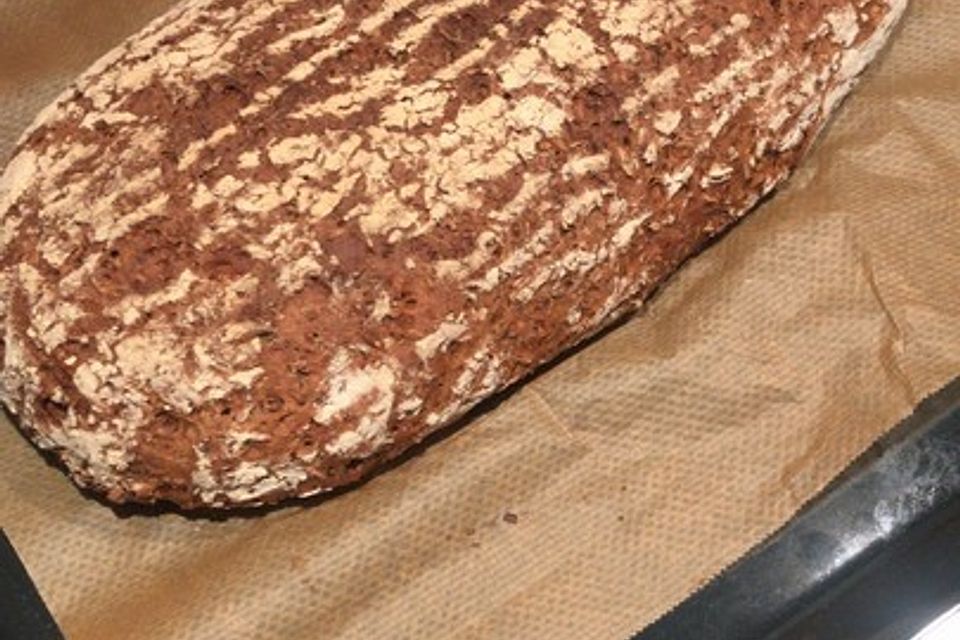 Treber-Brot