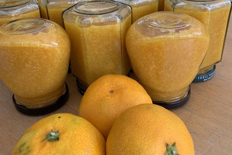 Werners Mandarinen-Marmelade