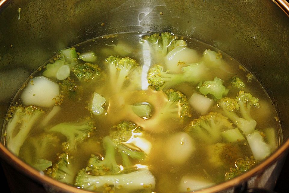 Broccoli - Rahm - Suppe