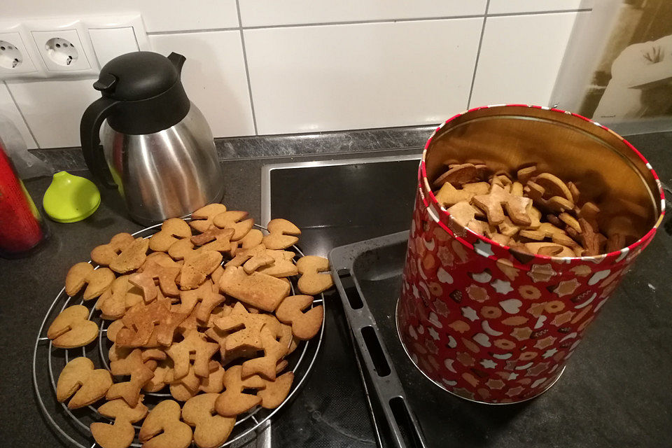 Pfefferkuchenplätzchen Hayma Neunerlei