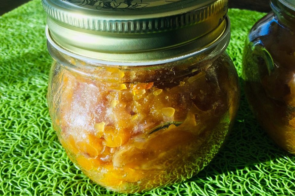 Kürbischutney mit Apfel