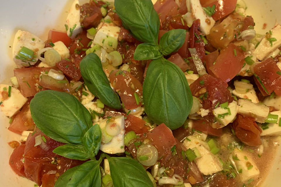 Mozzarella - Tomaten - Salat