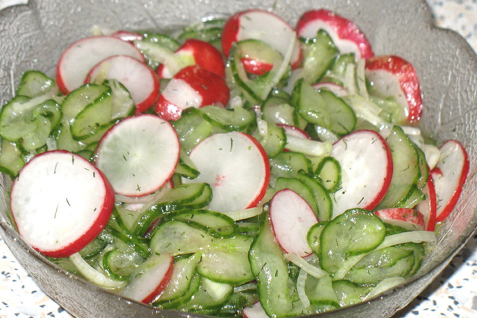 Gurken-Radieschen-Salat