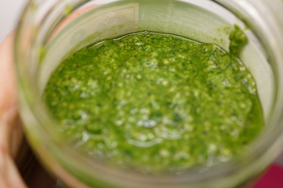 Bärlauch-Asant-Pesto