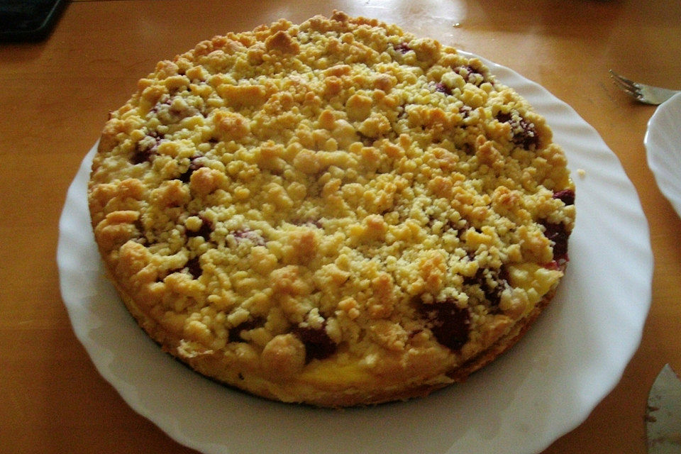 Himbeer-Streuselkuchen mit Pudding