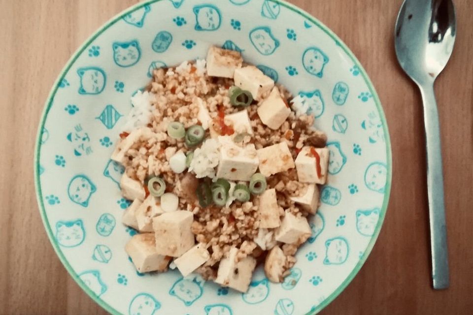 Mapo-Tofu