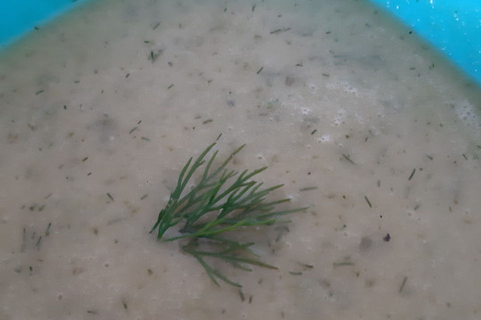 Gurkensuppe vom Feinsten