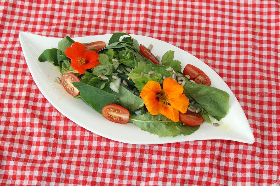 Wildkräutersalat mit Balsamicodressing