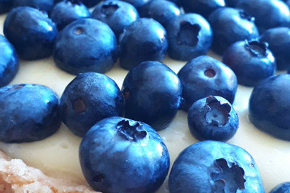 Köstliche Blaubeer-Zitronenpudding-Tarte