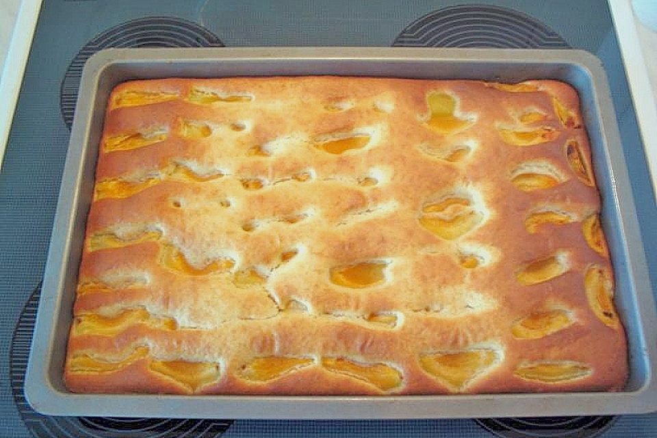 Aprikosen Schnellkuchen