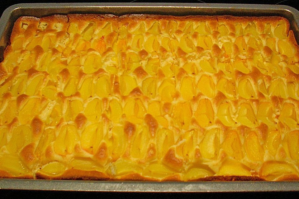 Aprikosen Schnellkuchen