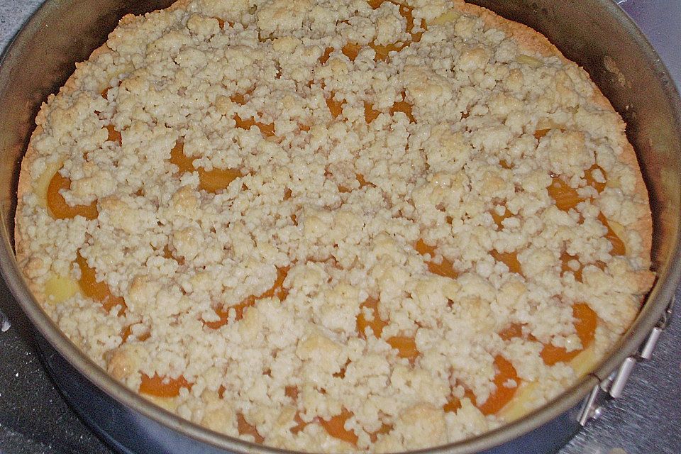 Pudding-Streusel-Kuchen