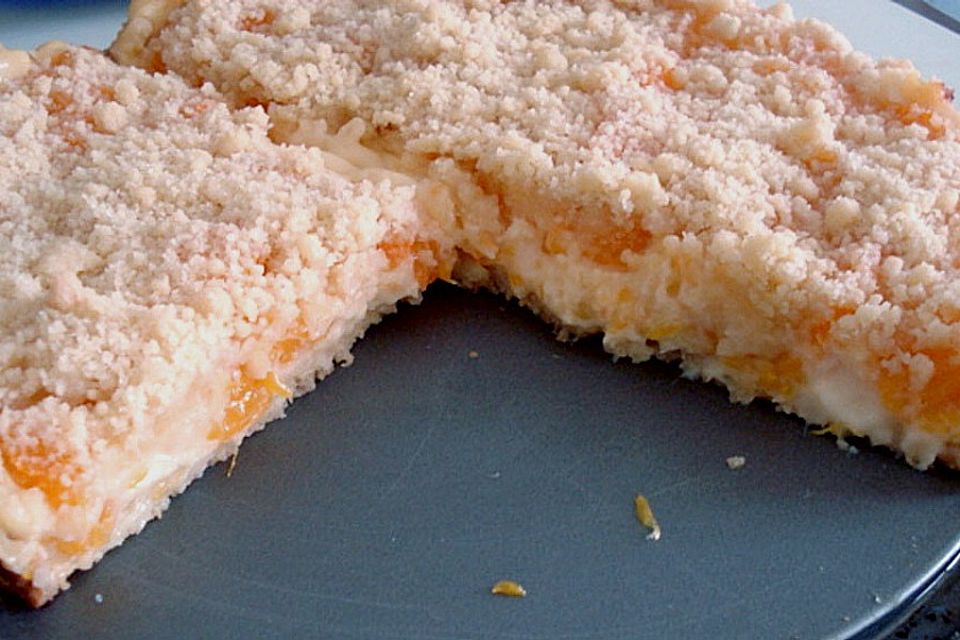 Pudding-Streusel-Kuchen