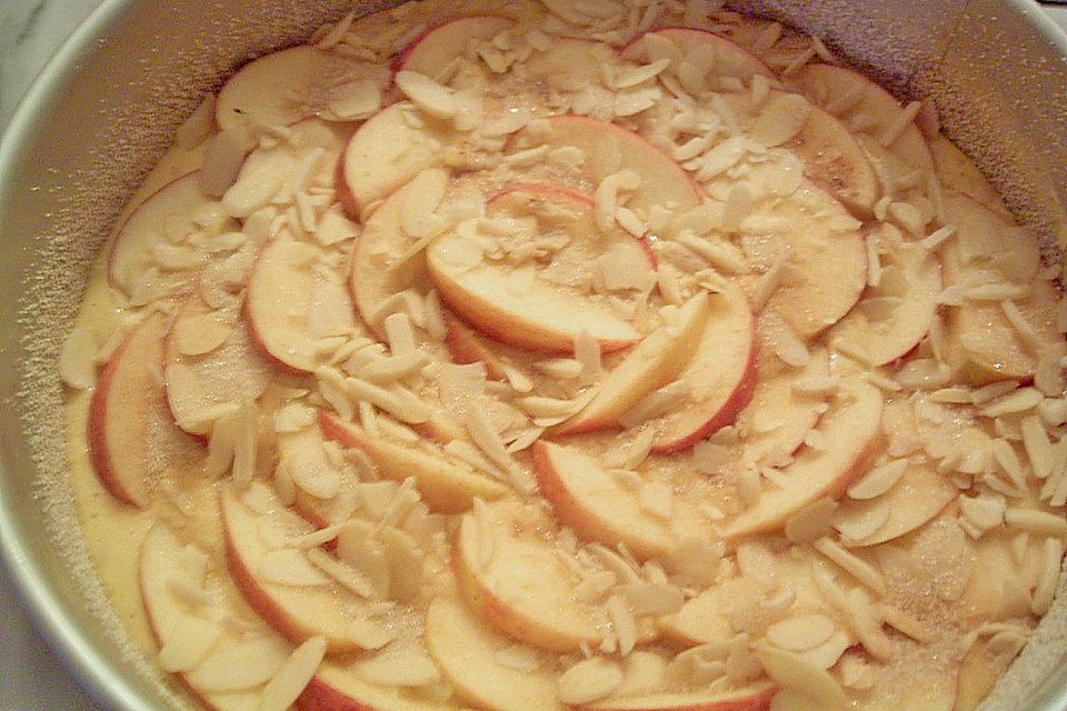 Apfel - Schlupfkuchen