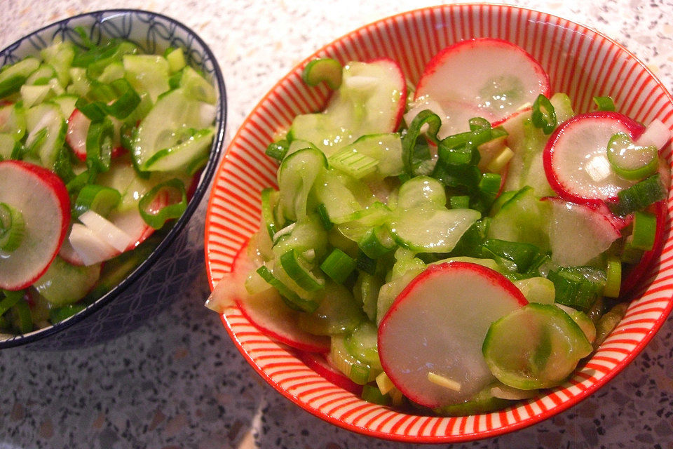 Gurkensalat mit Radieschen