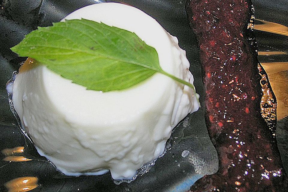 Joghurt - Pannacotta (ohne Gelatine)