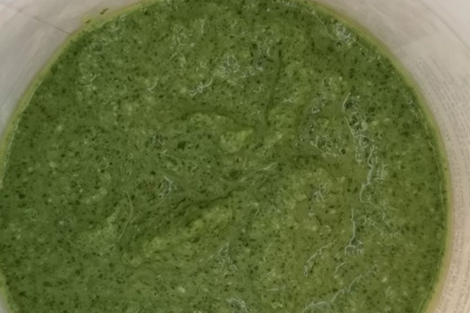 Bärlauchpesto