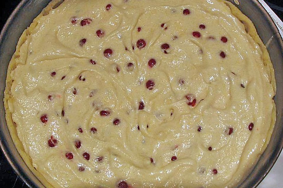 Johannisbeerkuchen