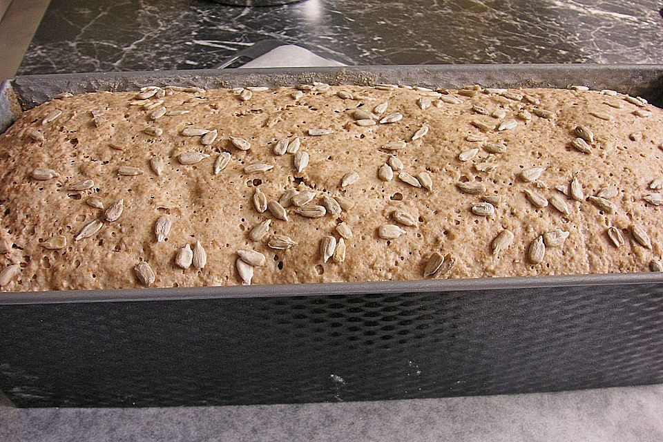 Sauerteig - Vollkornbrot