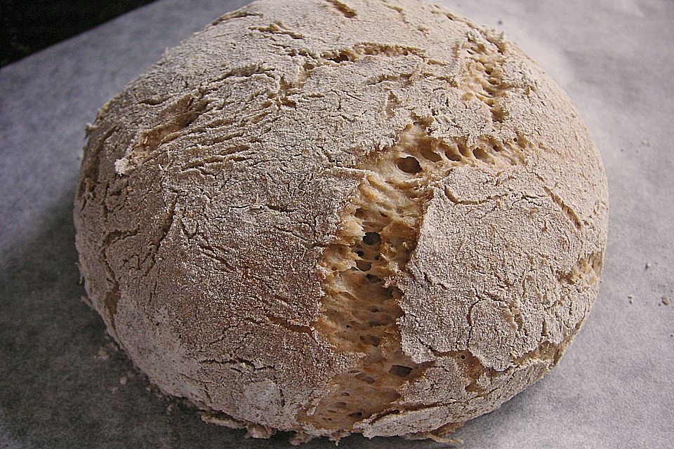 Sauerteig - Vollkornbrot