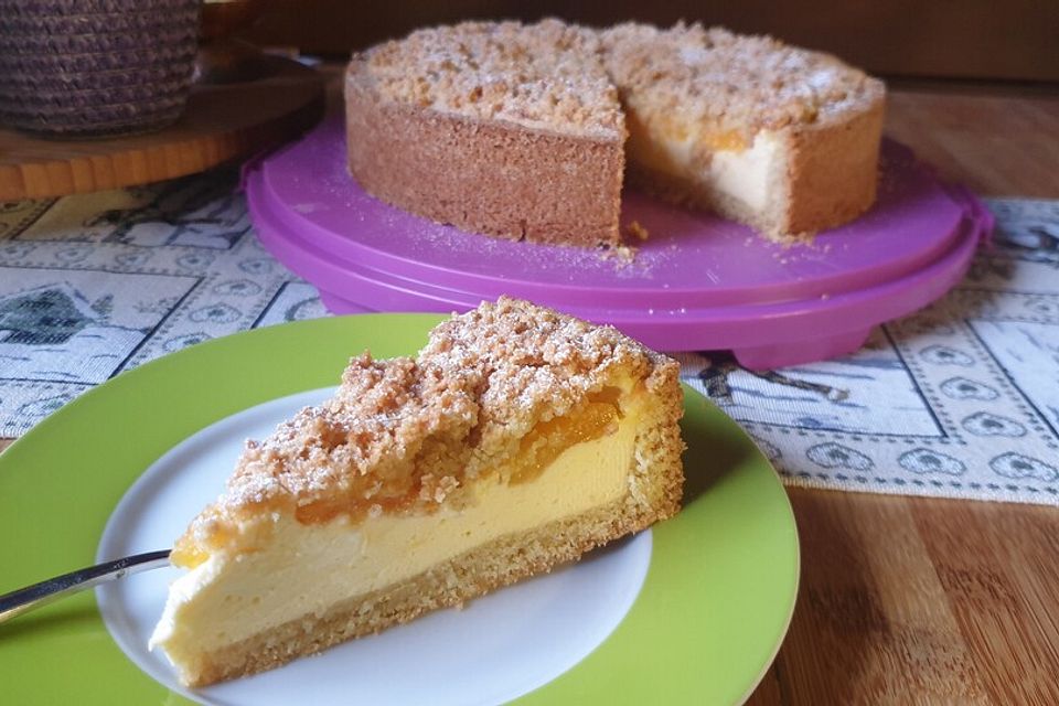 Käse - Aprikosen - Kuchen