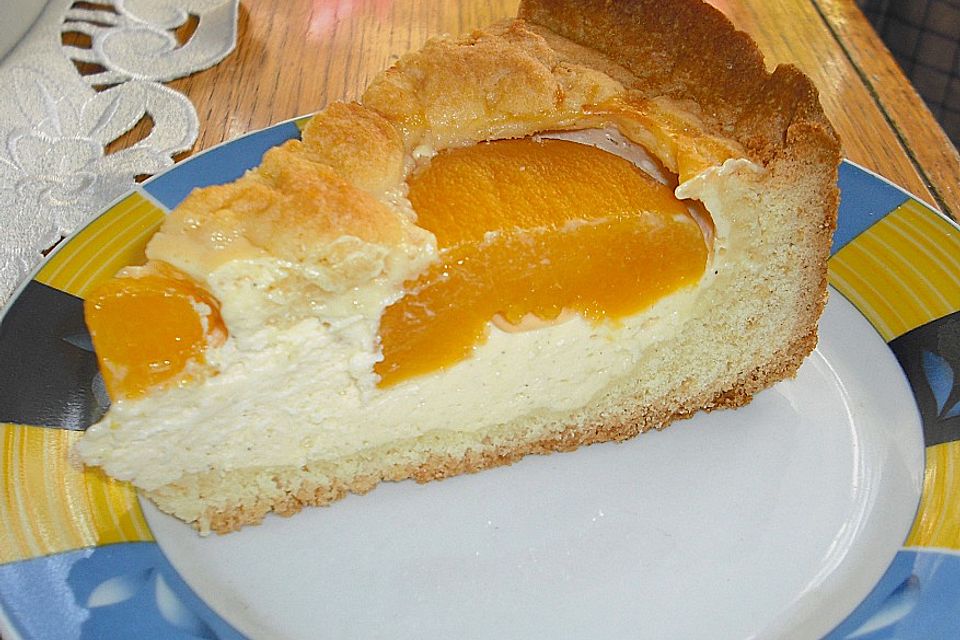 Käse - Aprikosen - Kuchen