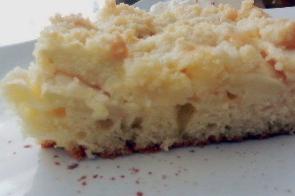 Apfelkuchen mit Zimtstreuseln