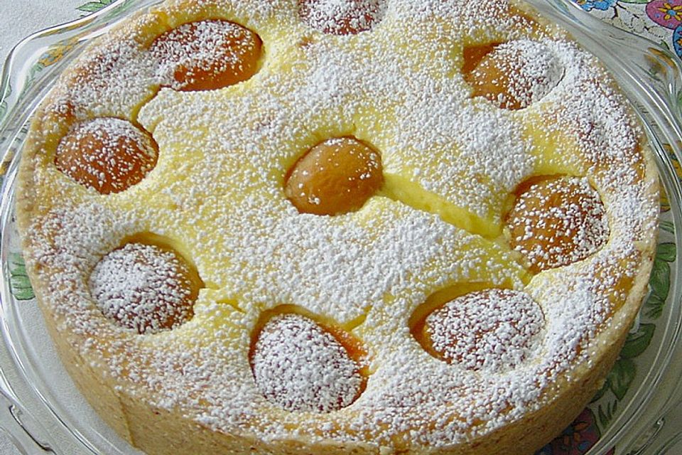 Aprikosen - Käsekuchen