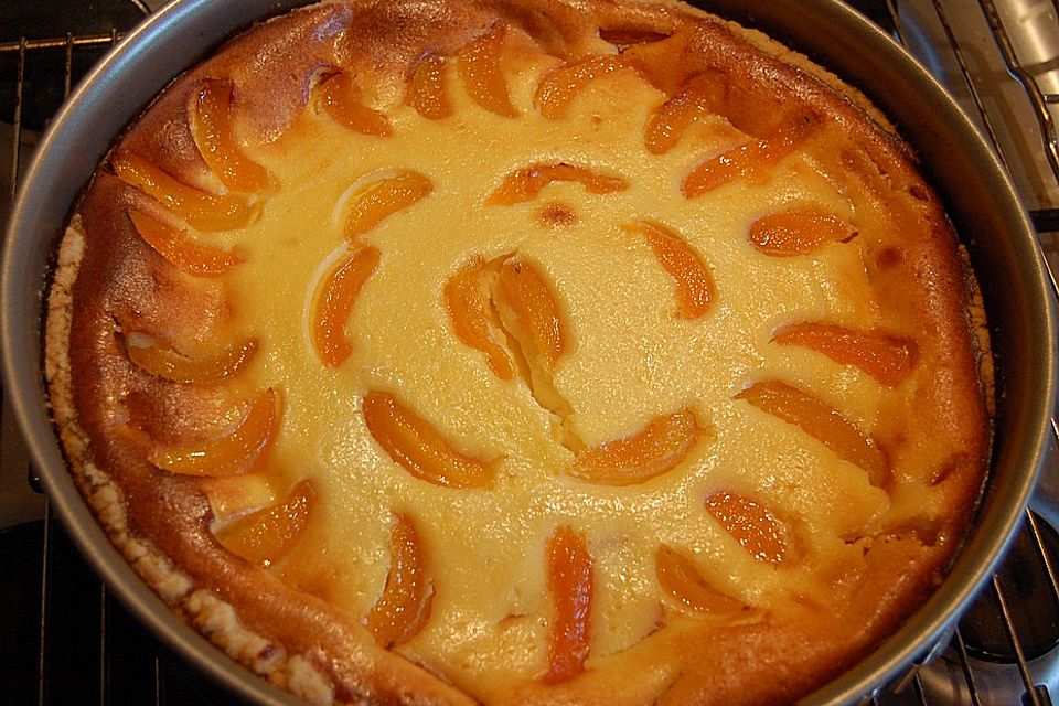 Aprikosen - Käsekuchen