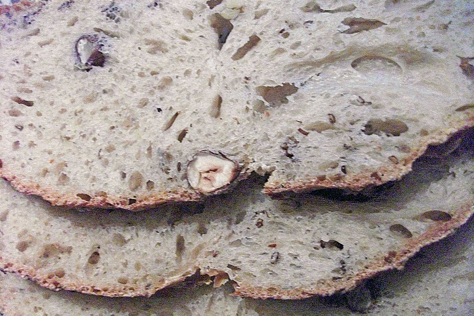 Dinkel-Sprossen Brot