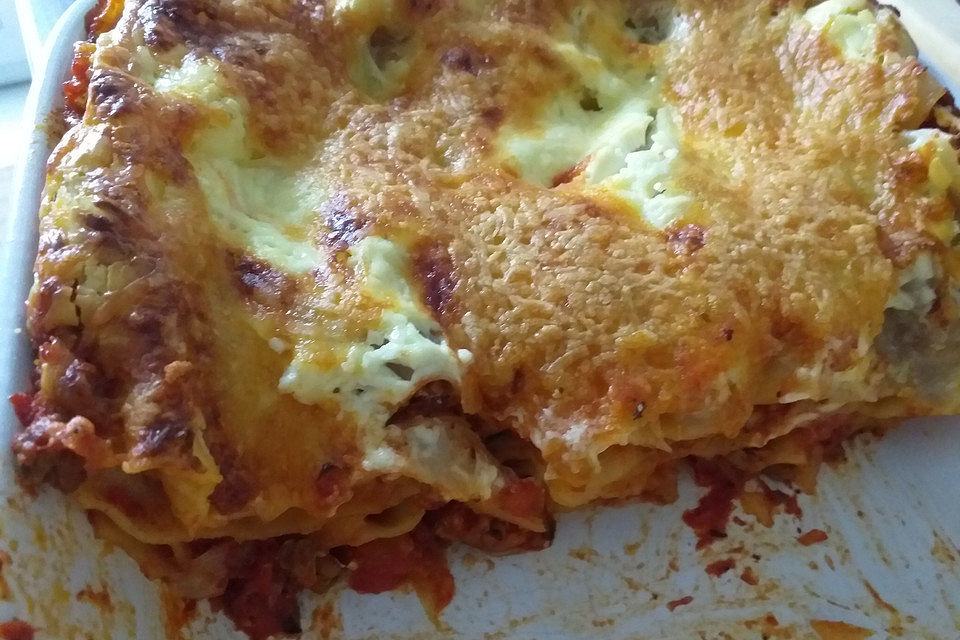 Idiotensichere Lasagne