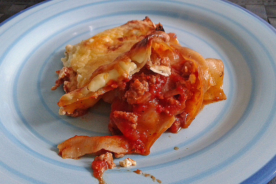 Idiotensichere Lasagne