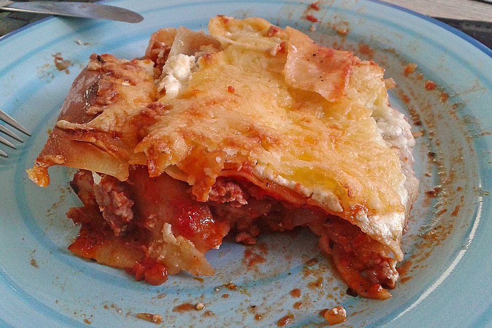 Idiotensichere Lasagne