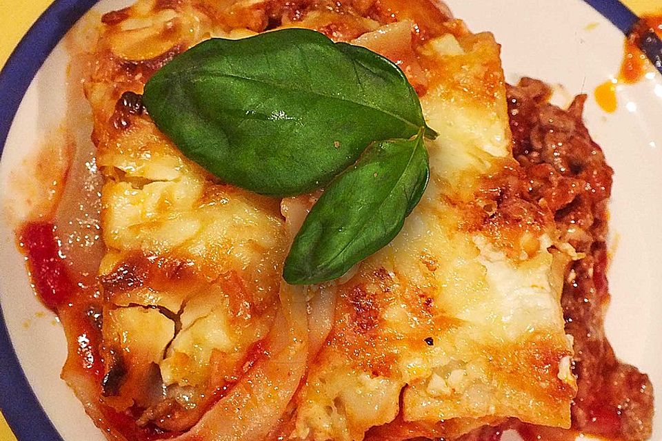 Idiotensichere Lasagne