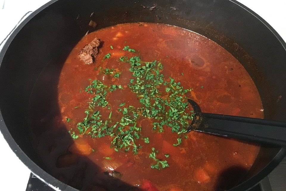 Gulaschsuppe a la Koelkast