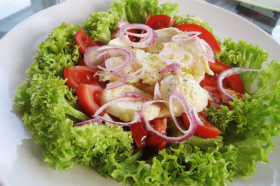 Römersalat mit mariniertem Mozzarella