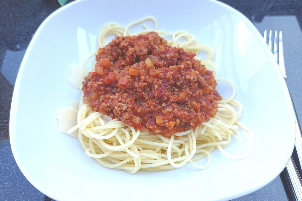 Bolognese nach Tanjas Art