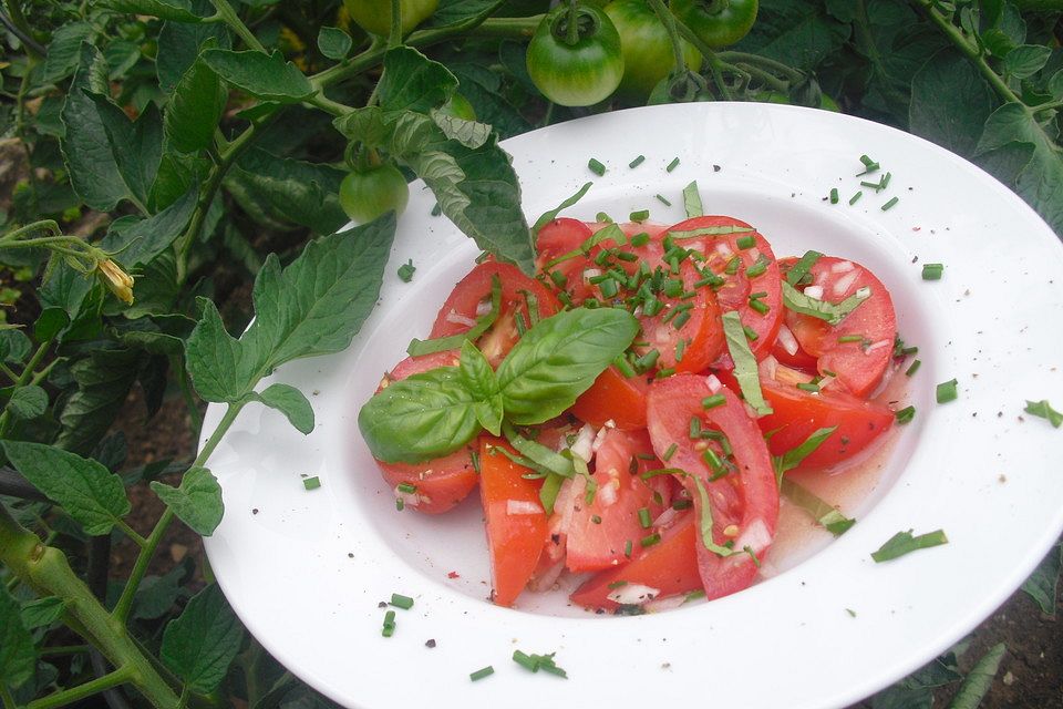 Tomatensalat für Anfänger