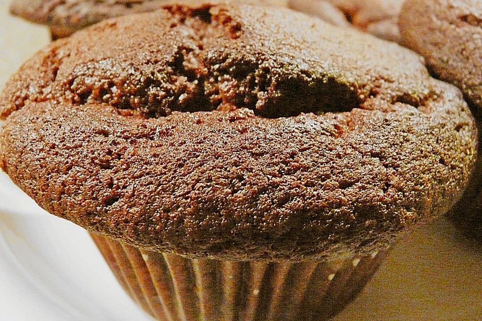 Double Chocolate Muffins