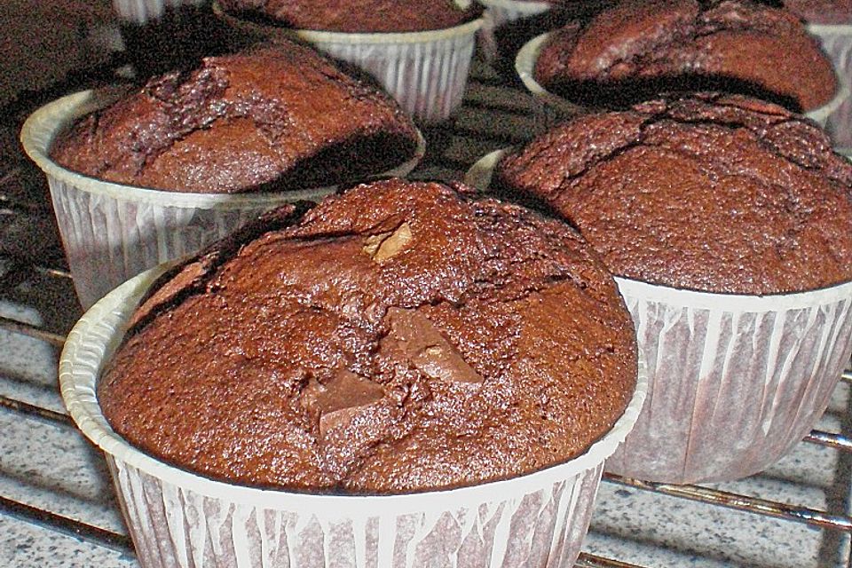 Double Chocolate Muffins