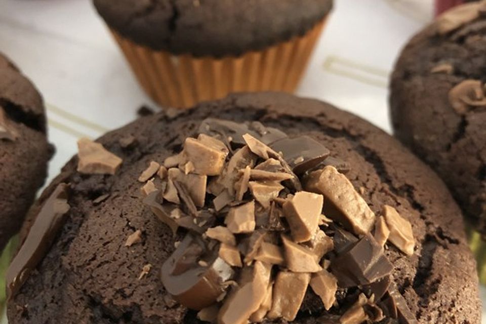 Double Chocolate Muffins