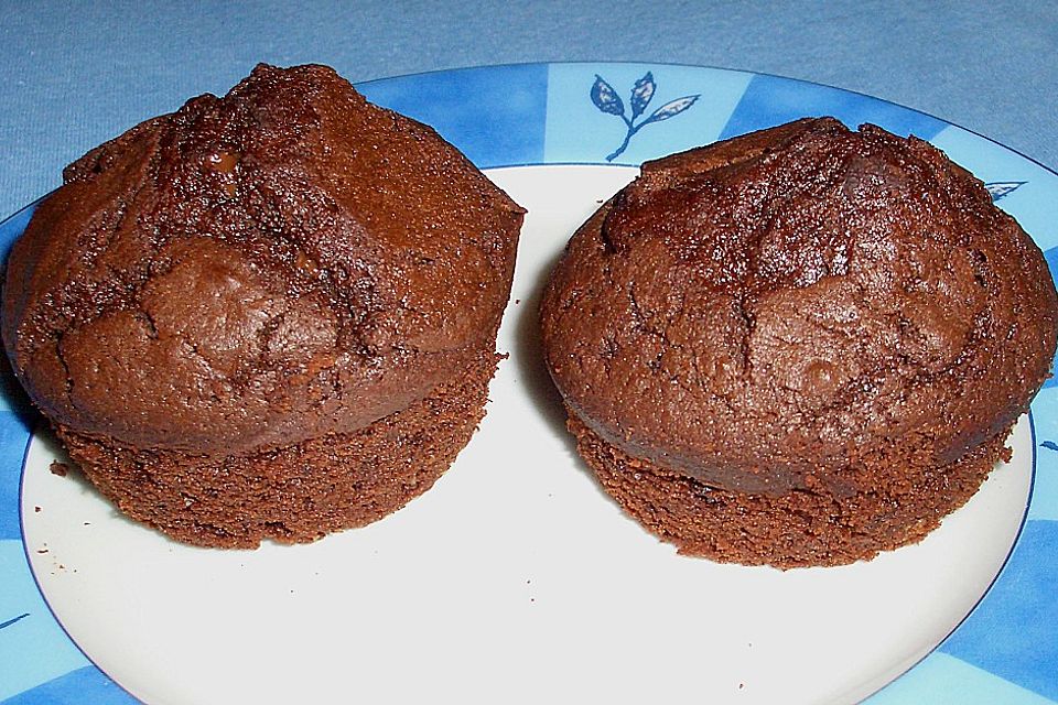 Double Chocolate Muffins