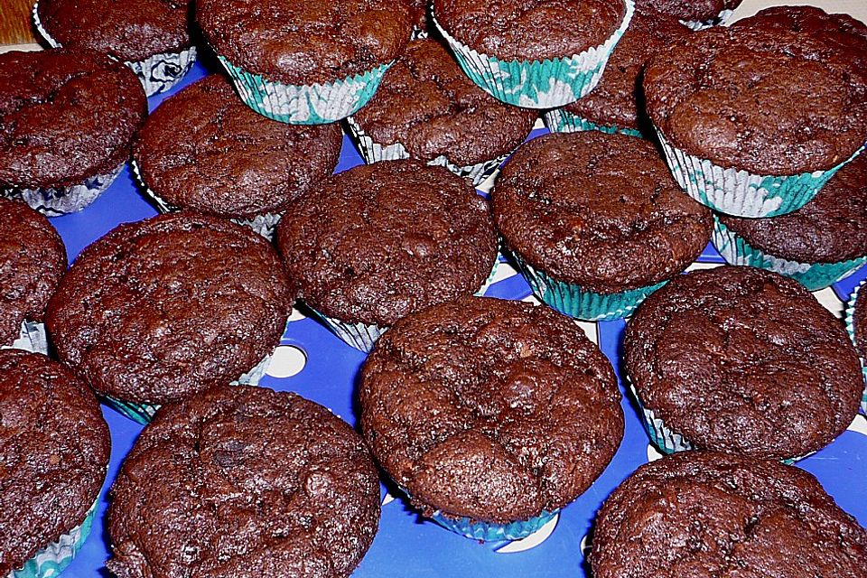 Double Chocolate Muffins