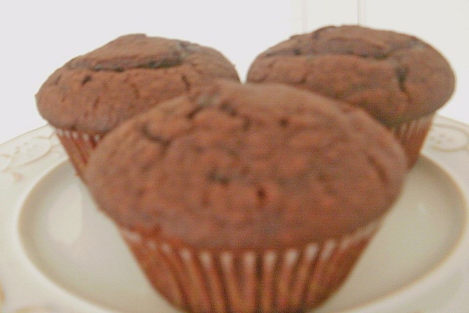 Double Chocolate Muffins