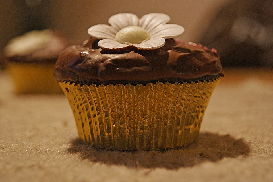 Double Chocolate Muffins