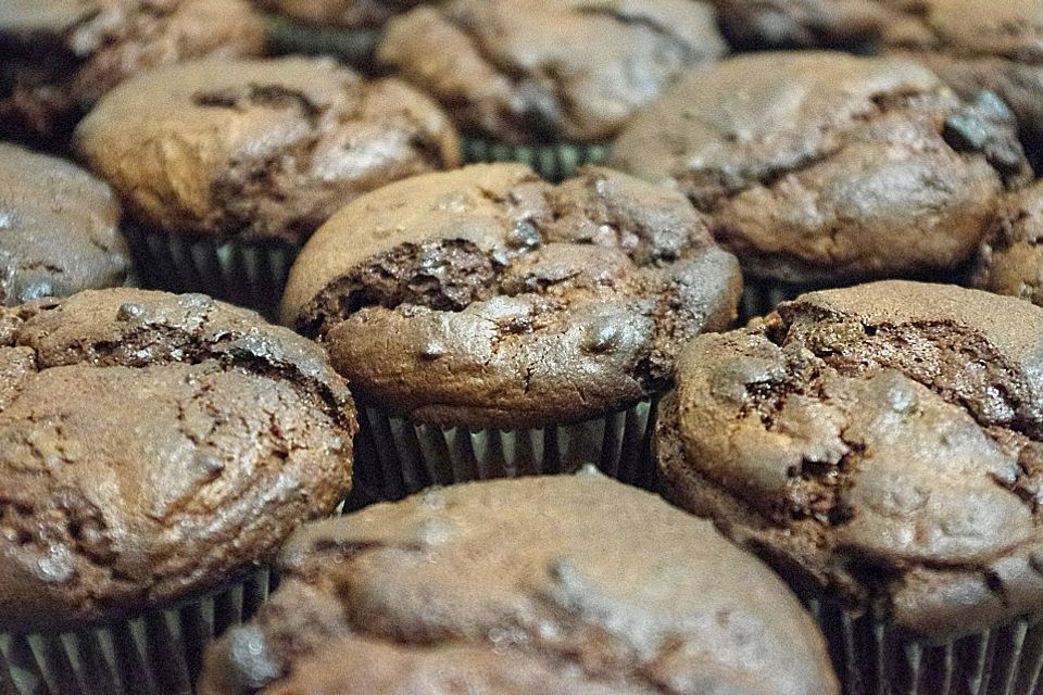 Double Chocolate Muffins